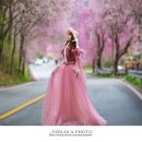 벚꽃길13 이미지