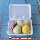 설악동물병원 이미지