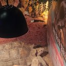 테이블에이 이미지