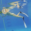 더 플러스 노마드행정사 | 서울 프리다이빙 직장인 취미 추천 블루노마드