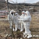 괴산군농업연구소 이미지