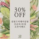 살롱드비