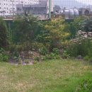 새보람유치원 이미지