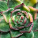 가빈농장 이미지