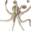 gc-camera-024 이미지