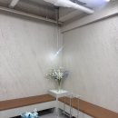 강남 미용실 추천 💎 | 르블라썸 강남점 정현 디자이너 클리닉 후기