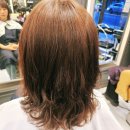 OH HAIR #오헤어# | [쌍문역 미용실 추천] 극손상모도 OK! 쌍문동미용실 오헤어에서 무알칼리 열펌 받았어요 💇‍♀️✨