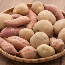 밤나무골농장 이미지