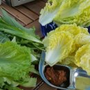 꿈에정원 이미지