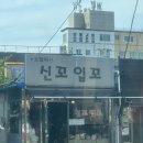 신꼬입꼬 네이버블로그
