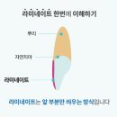 연세스마트치과의원 이미지