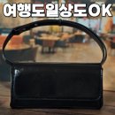 바이래브 트래블 데이백 신제품 후기, 여행 가방 고민 끝