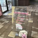 코코까까 이미지