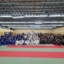 강동와이어주짓수 이미지