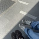 동해물약국 | [타이중/타이페이]핫플만 골라다닌 대만 3박4일!♡맛집/교통/숙소 리얼 후기♡_2일차