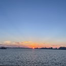 오이도전통수산시장AB(오이도수산물직판장AB) | 오이도수산물직판장(전통시장) 여름 참광어 &amp; 맛조개...맛조개 식당에서 사먹는거 보다 수산시장 포장 굿)