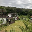 춘기의 집 이미지