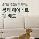 안심베드 이미지