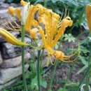 동강생태정보센터 이미지