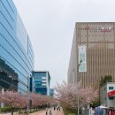 pet226다8960 | 성남 웨딩홀 W스퀘어컨벤션 교통 편한 채플웨딩홀 뷔페 후기