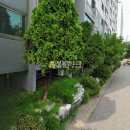 청능대로23번길 이미지