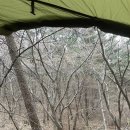 개울가 야영장 | 희리산 자연휴양림 벚꽃 캠핑 후기였으면 하는 그냥 사이트 리뷰 (feat.세차 맛집)