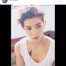 숨간 Daum카페