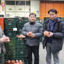 안동농협농산물공판장 이미지