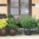 봄특집_발라드_당신의 향기 속에서_작사 김정자_가수 은서 󰌶 작·편곡 SUNO 󰌶 기획 producer 윤기영 이미지