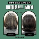 방배역 1번출구 앞 | 방배역 미용실 페퍼민트헤어 히노키클리닉 모발케어받고 머릿결 찰랑💛