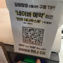옹 하우스 | 봄꽃놀이 여행지 추천 1탄ㅣ 전남담양 죽녹원, 애견동반 슈트라하우스 펜션 후기