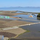 노송부동산 이미지