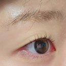 씨유 중랑사가정점 | 무쌍 속눈썹펌까지 잘하는 사가정눈썹 유달리뷰티