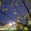 머니덕후 이미지