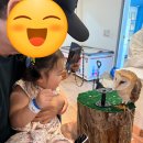 가-33 | 담양 아이랑 가볼만한 곳 - 곤충박물관 솔직후기 (33개월)