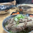 본가갈비탕 | [경기 화성/비봉] 뼈가 부드럽게 쏙쏙 빠지는 본가갈비탕 내돈내산 후기(택배, 포장 가능)