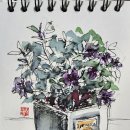 어반스케치 이미지