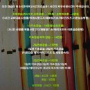 [제주] 표선서핑스쿨 아키아서프, 경력 쩌는 서핑강사님과 서핑서핑🏄🏾‍♂️