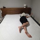 한스갤러리 | 여름밤 뒤척임 끝 한스갤러리 냉감패드 후기