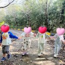 양지1어린이집 이미지