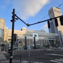 고트래블 | [인티고트래블 비에이 투어 후기] 인생샷 건진 만족 투어 ! 크리스마스 트리/비에이 마을 - 준페이 에비동