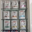 송도 종합 동물병원 이미지