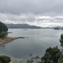 향교손짜장 이미지