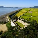 서해황금들녘길 이미지