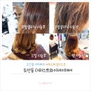 제이와이 더 퍼스트