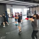 복싱피스트 이미지