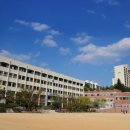 대건조이 네이버블로그