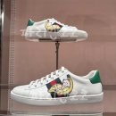 에이스 캣 이미지