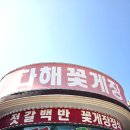 다혜네 - 밀양시 | 다혜꽃게장 후기 🦀
