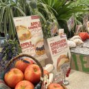 더샾(THE) | 미각과 시각을 모두 잡은 힙한 디저트 카페, '파이인더샵(Pie in the Shop)'